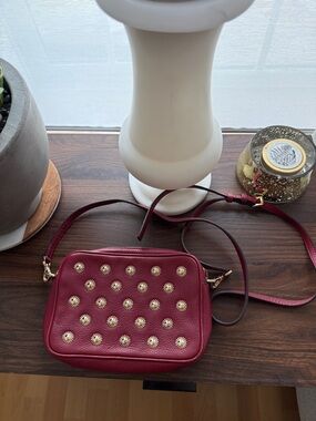 Michael Kors Mini Crossbody Bag with Gold Stud Accents